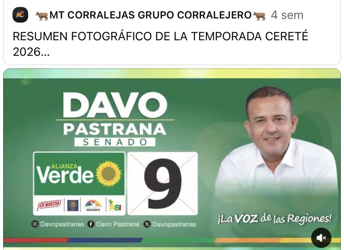 Feli ☁️ tweet media