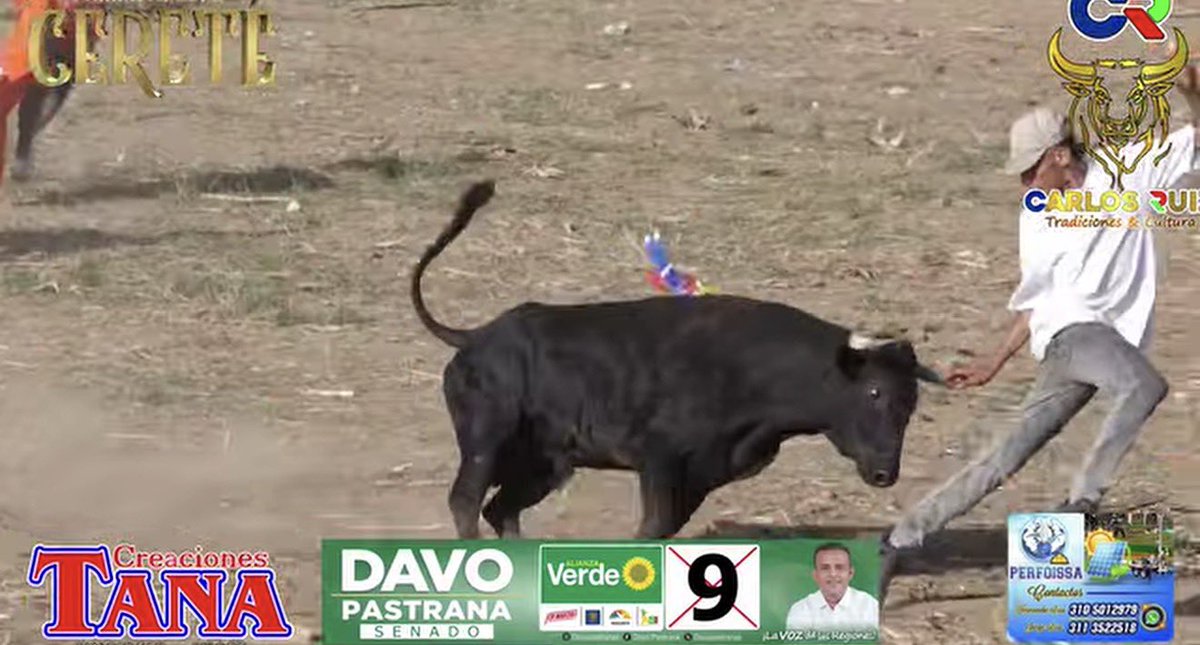 Feli ☁️ tweet media