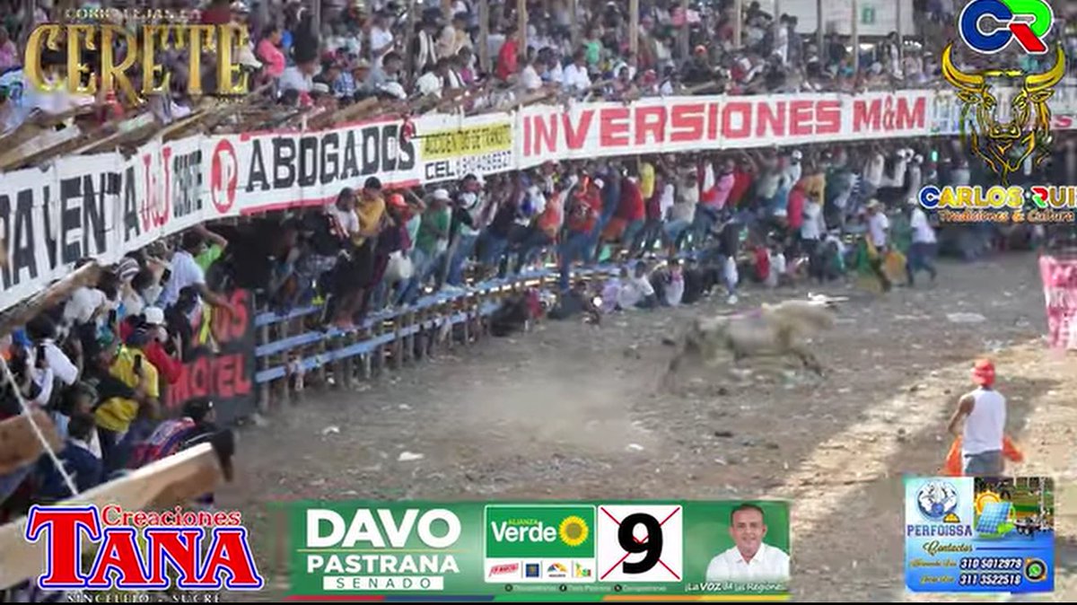 Feli ☁️ tweet media