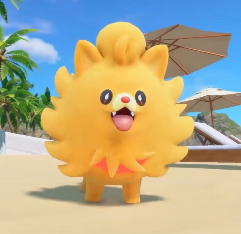 POMBOM IS SO CUTE IM GONNA CRY