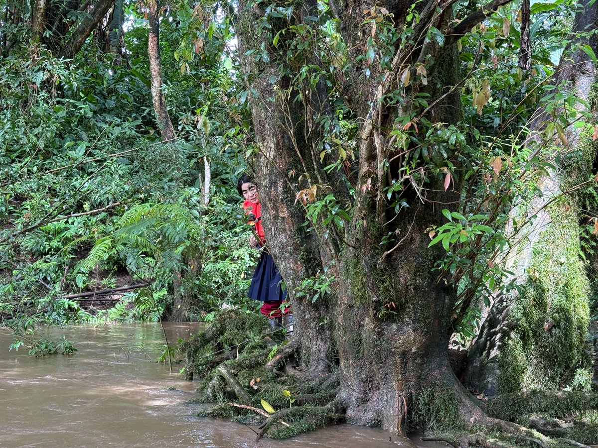 世界の果てまでイッテQ！ tweet media