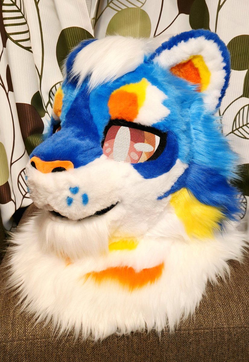 🐾Keda Marche🐾 tweet media