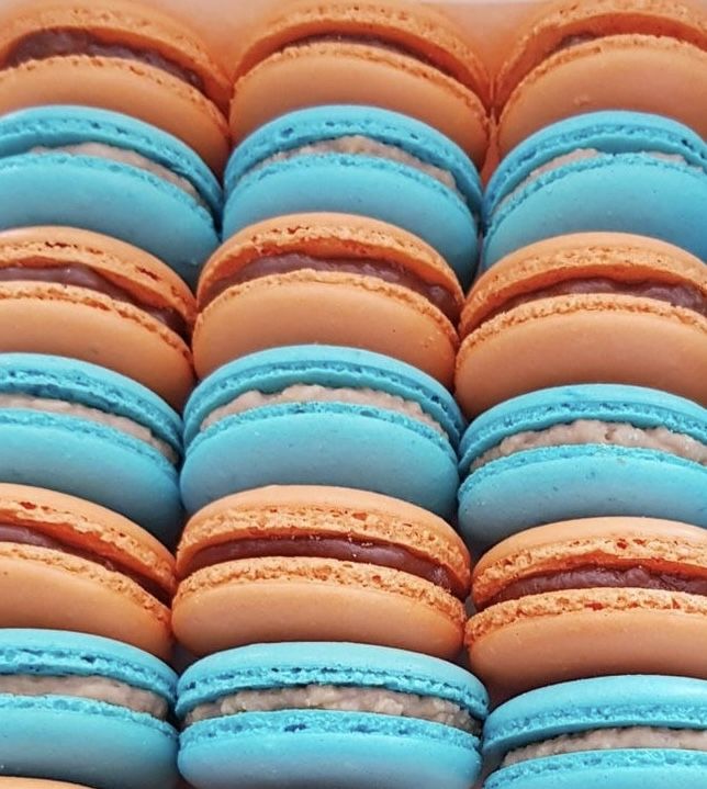 auroraᵃᵉ 🍮 tweet media