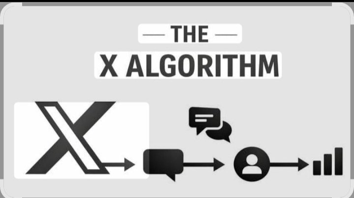 Dear Algorithm, please take me everywhere, I'm all yours, Thank you🤣😍