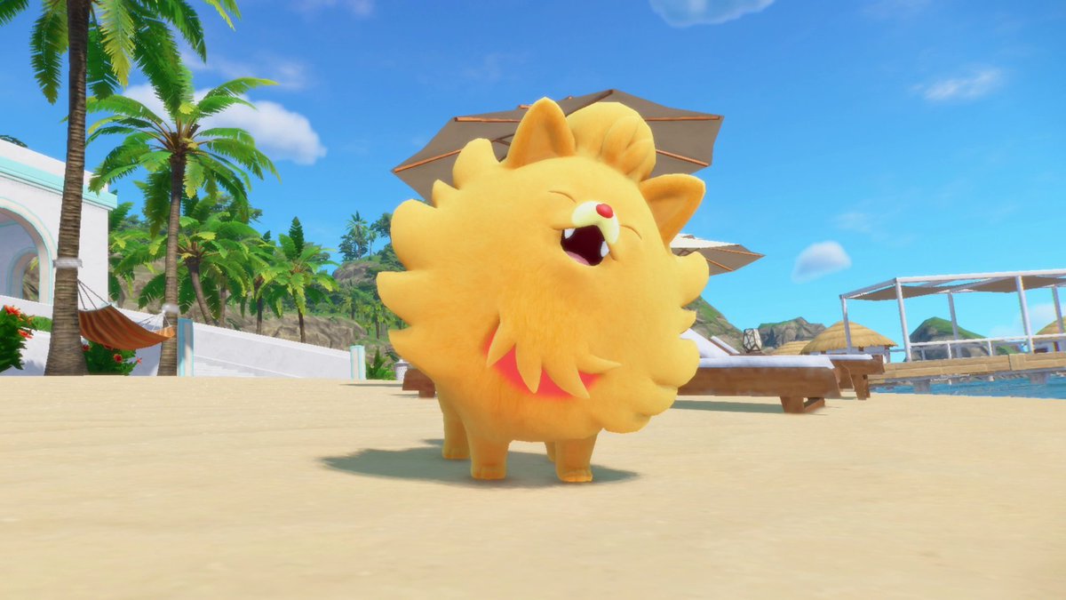 ckingy91's tweet photo. And prize for easiest starter to pick goes too!
Pombon! https://t.co/15lb0Aa3js
