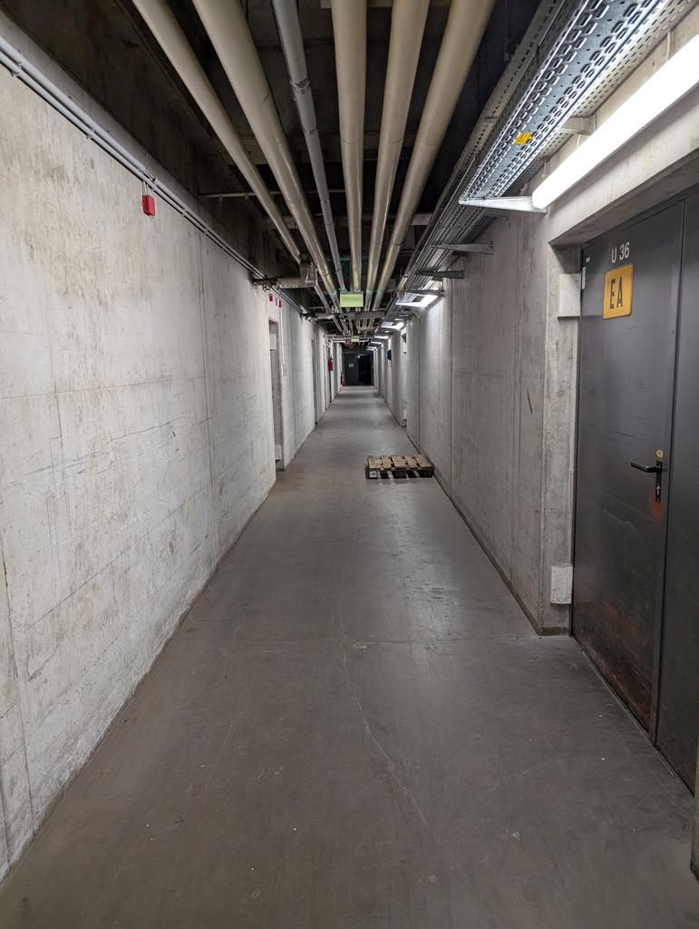 Bin irgendwie in den Backrooms gelandet... Hilfe