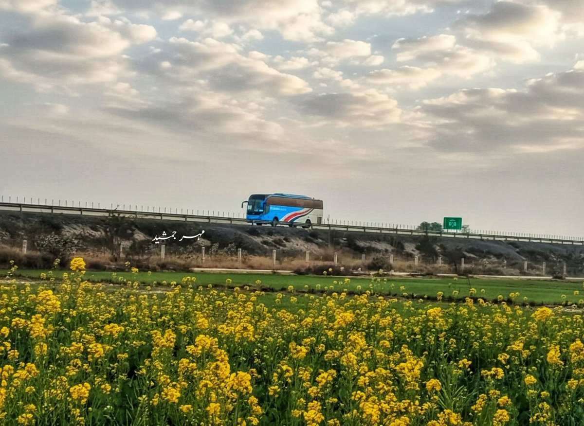 اپنے موبائل سے بنائی گئی خوبصورت تصاویر شئیر کریں