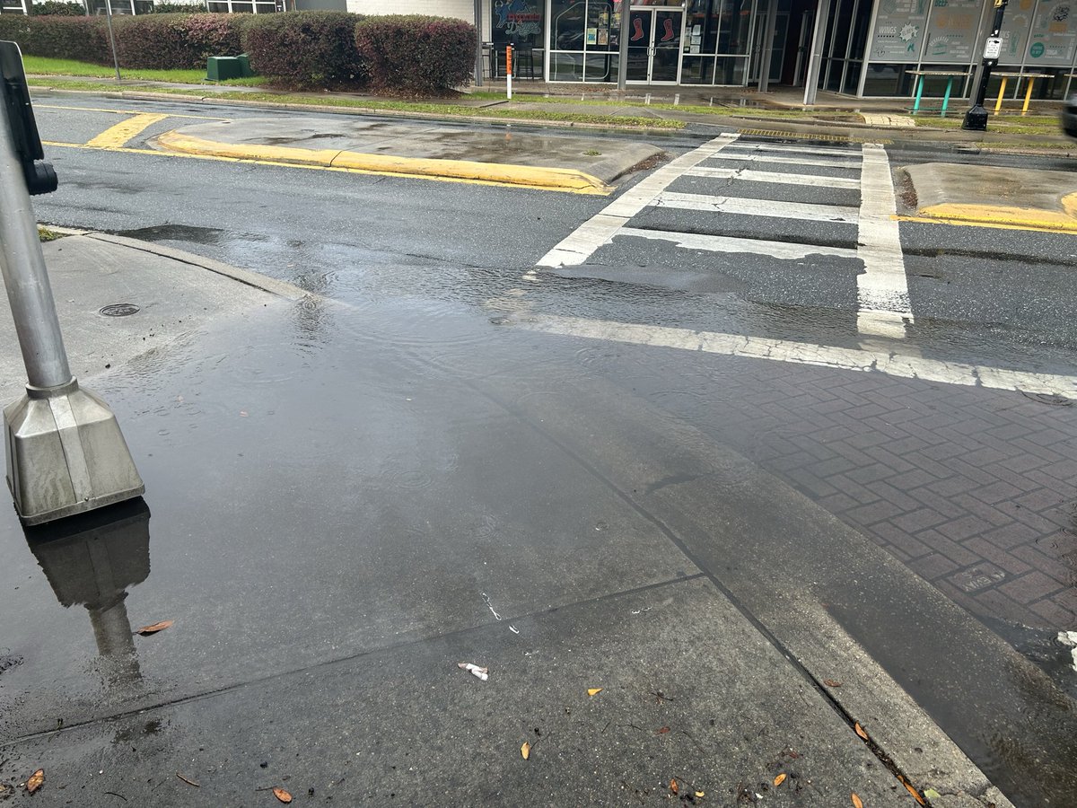 goni_lessan's tweet photo. I had to step in the puddle to press the crosswalk button. I stepped off the curb and went around the puddle to walk across, but if I were in a wheelchair I would have to go through this and it’s pretty deep. 

Also no one ever stops for the crosswalk lights. Attn: @CityofTLH https://t.co/ztRqUCw7BS