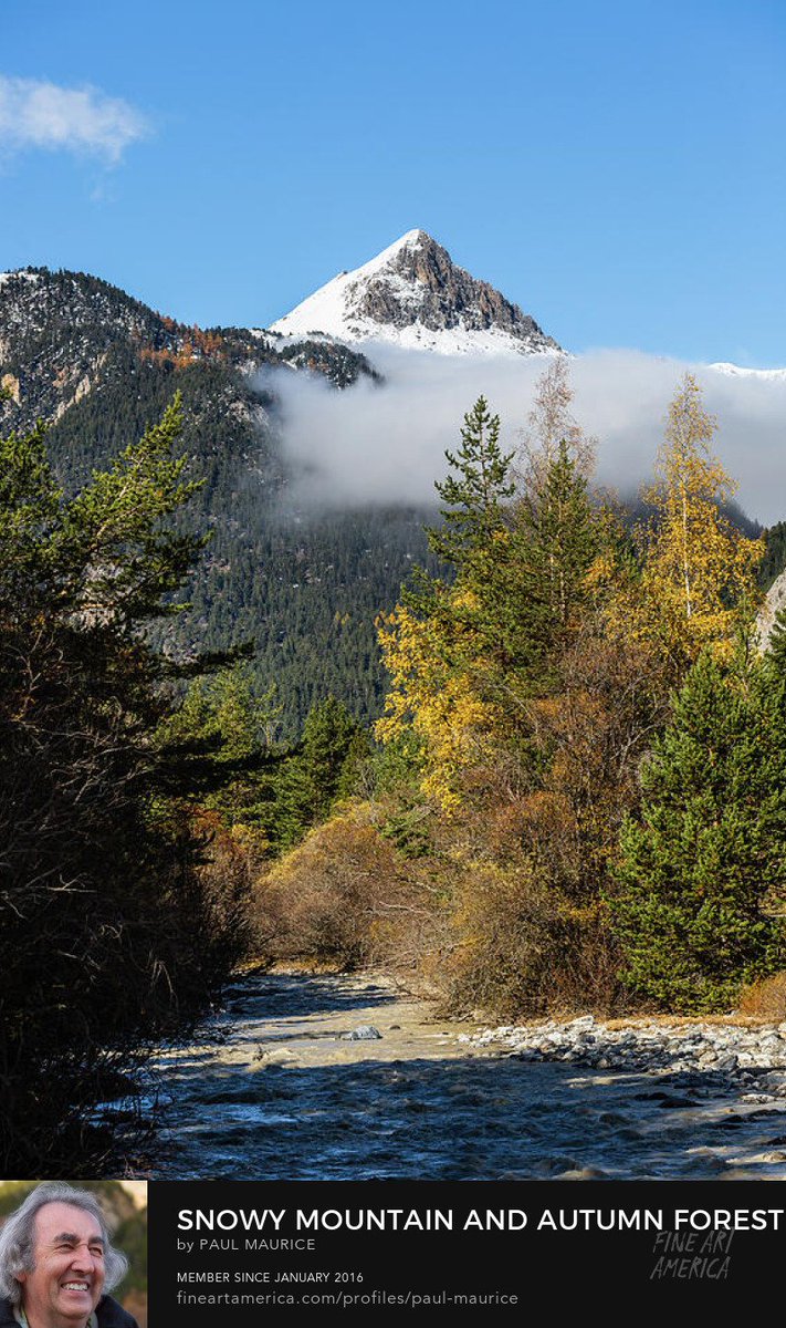 apollo0300's tweet photo. Snowy Mountain and Autumn Forest

https://t.co/0jf1Q5UbqJ

#alpesdusud #hautesalpestourisme #Lovepaca #myhautesalpes #myprovencealpescotedazur #regionsud #regionsudpaca #paulcmaurice #artforsale #buyintoart #fineart #giftidea #giftideas #homedecor #wallart #FindYourThing https://t.co/UOJxSSTan6