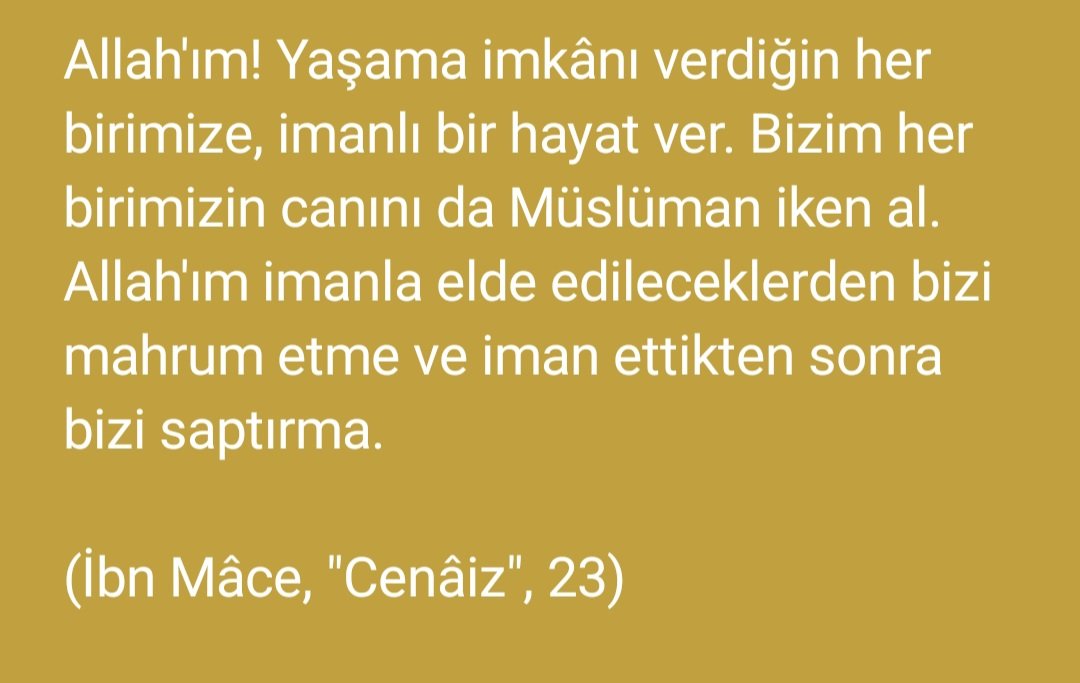 Selami Özyiğit (@ozyigitselami) on Twitter photo 