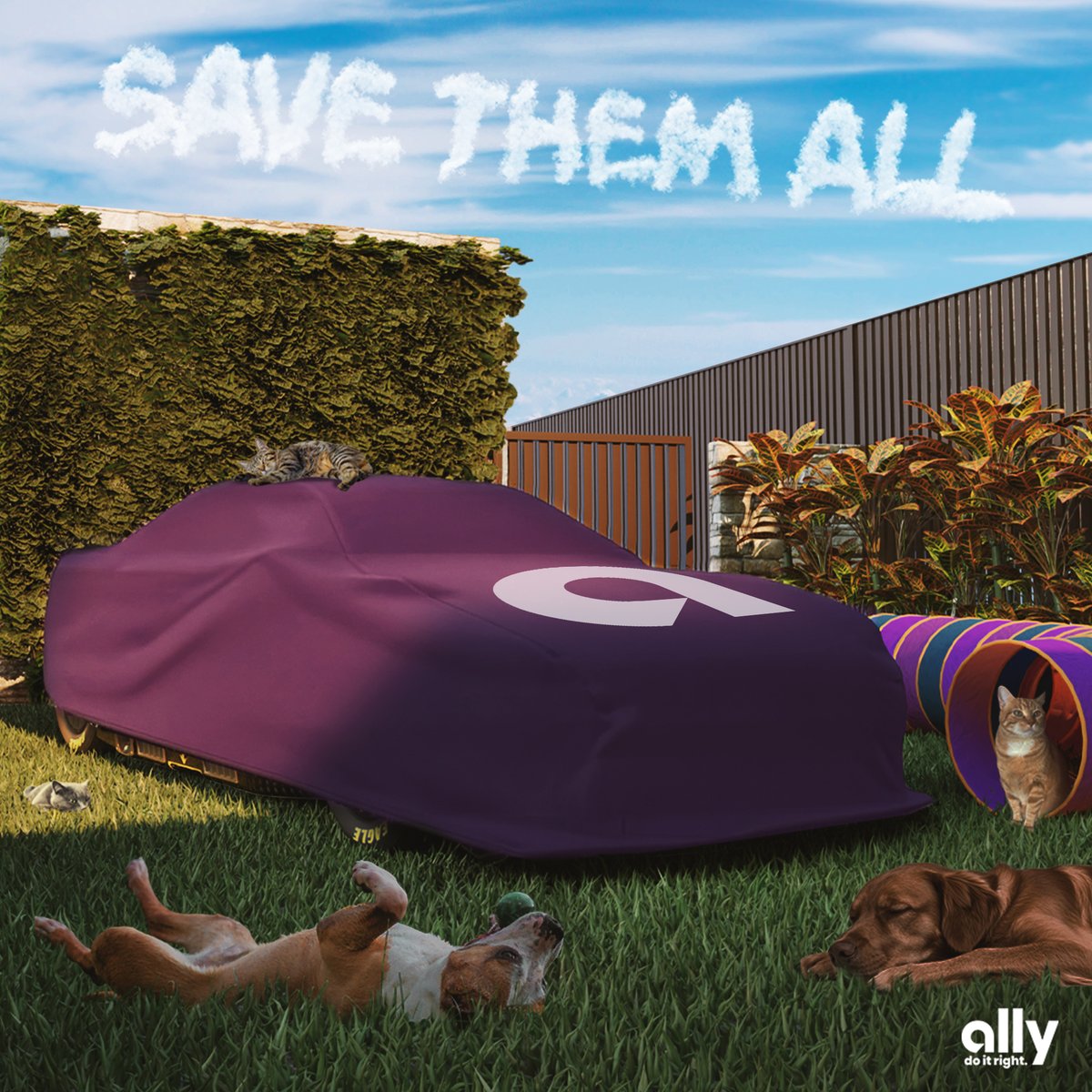 We have a purr-fect scheme coming next week...👀