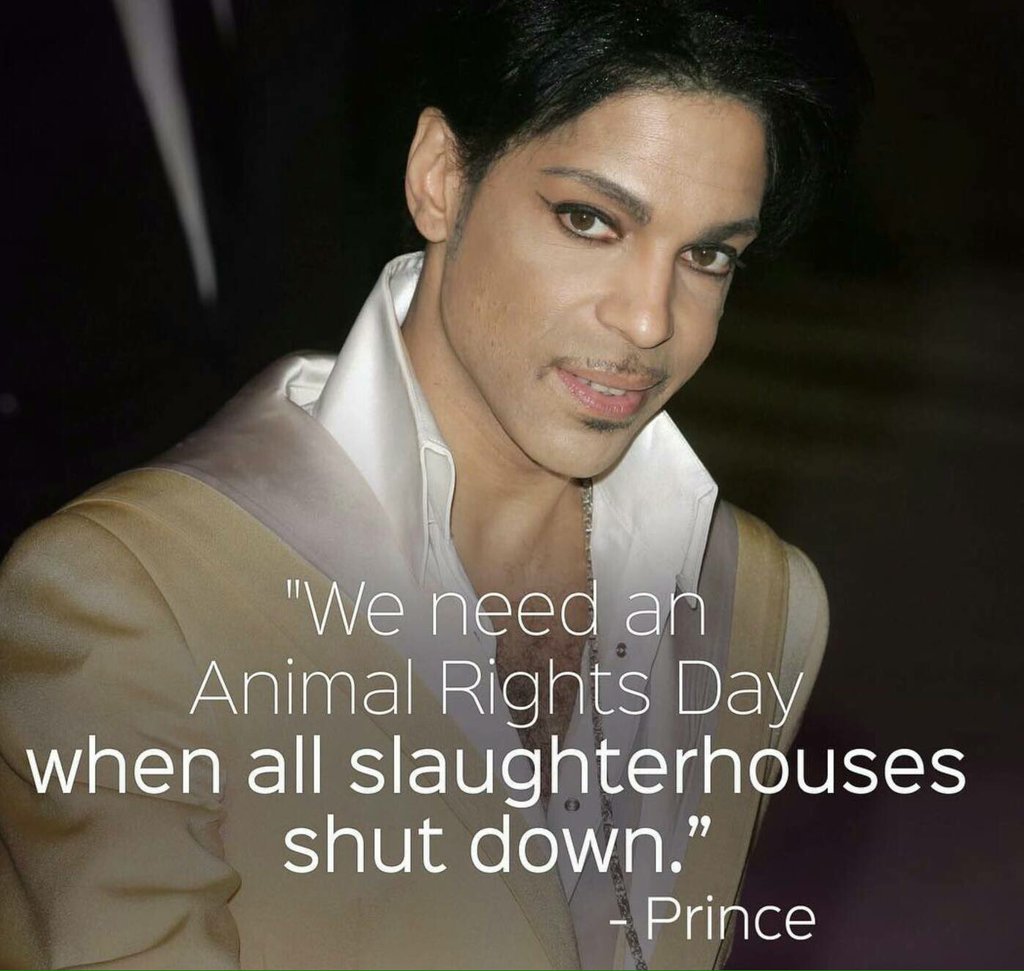 Vegan Future tweet media