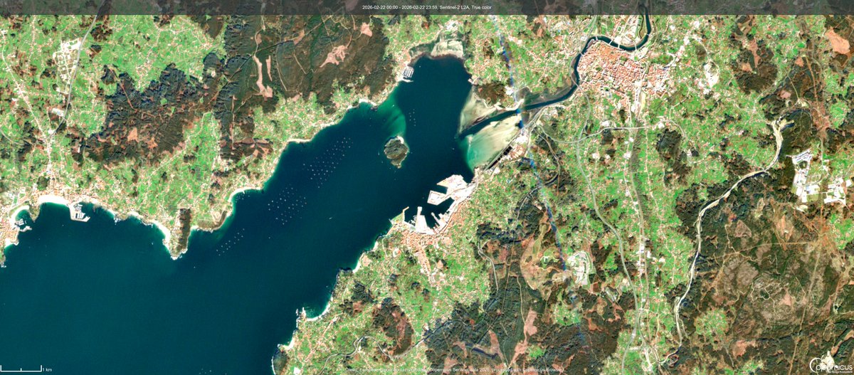 Isabel Caballero de Frutos tweet media