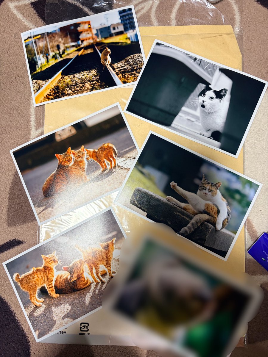 全部で30枚くらい作れば十分かなー おひとりさま1枚、好きなポスト