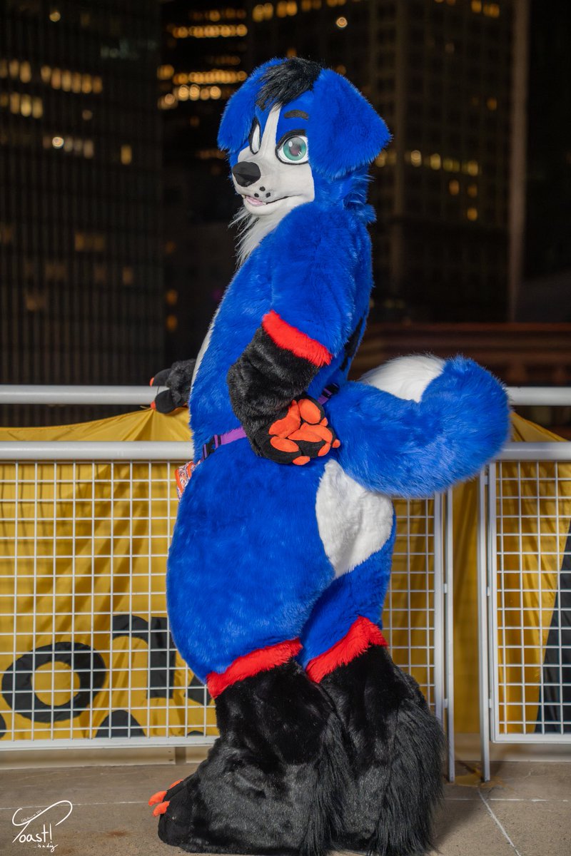 Saiiii 🔜 FE tweet media