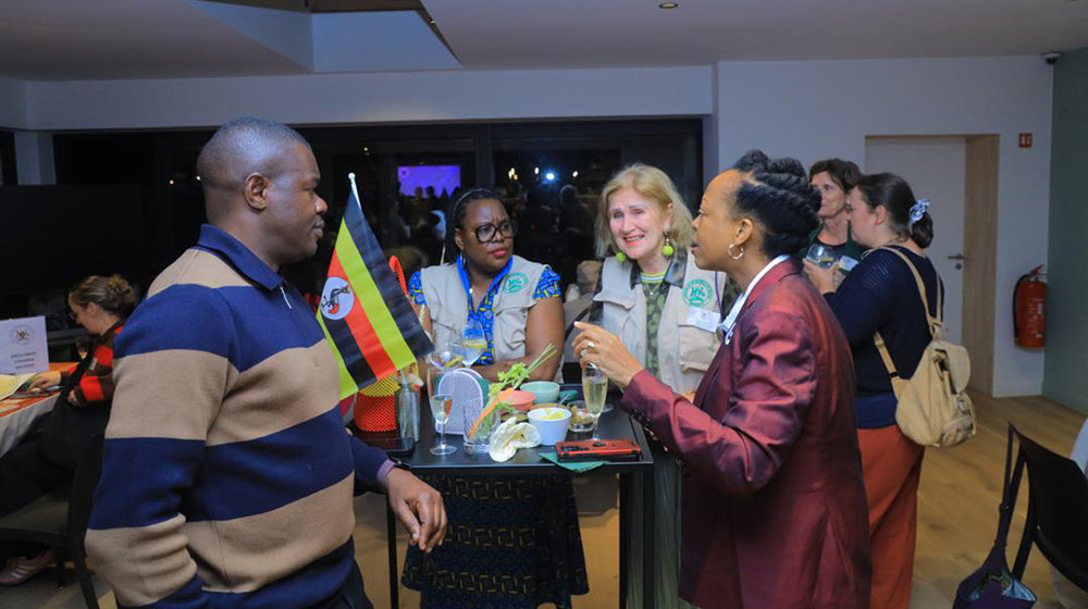 Gessa Simplicious tweet media