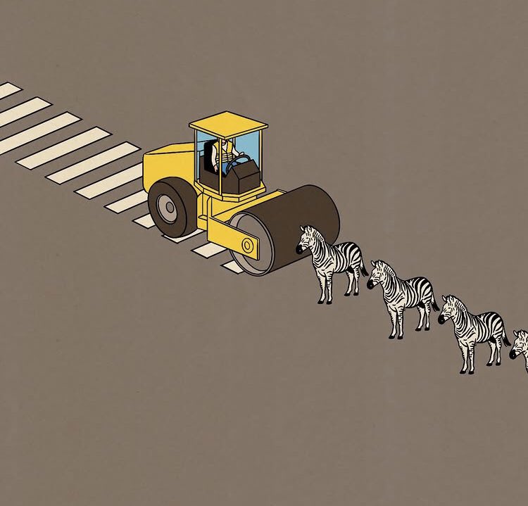 Konečně jsem se dozvěděl, jak se dělají ty přechody a proč se jim říká zebra. 🤔🦧