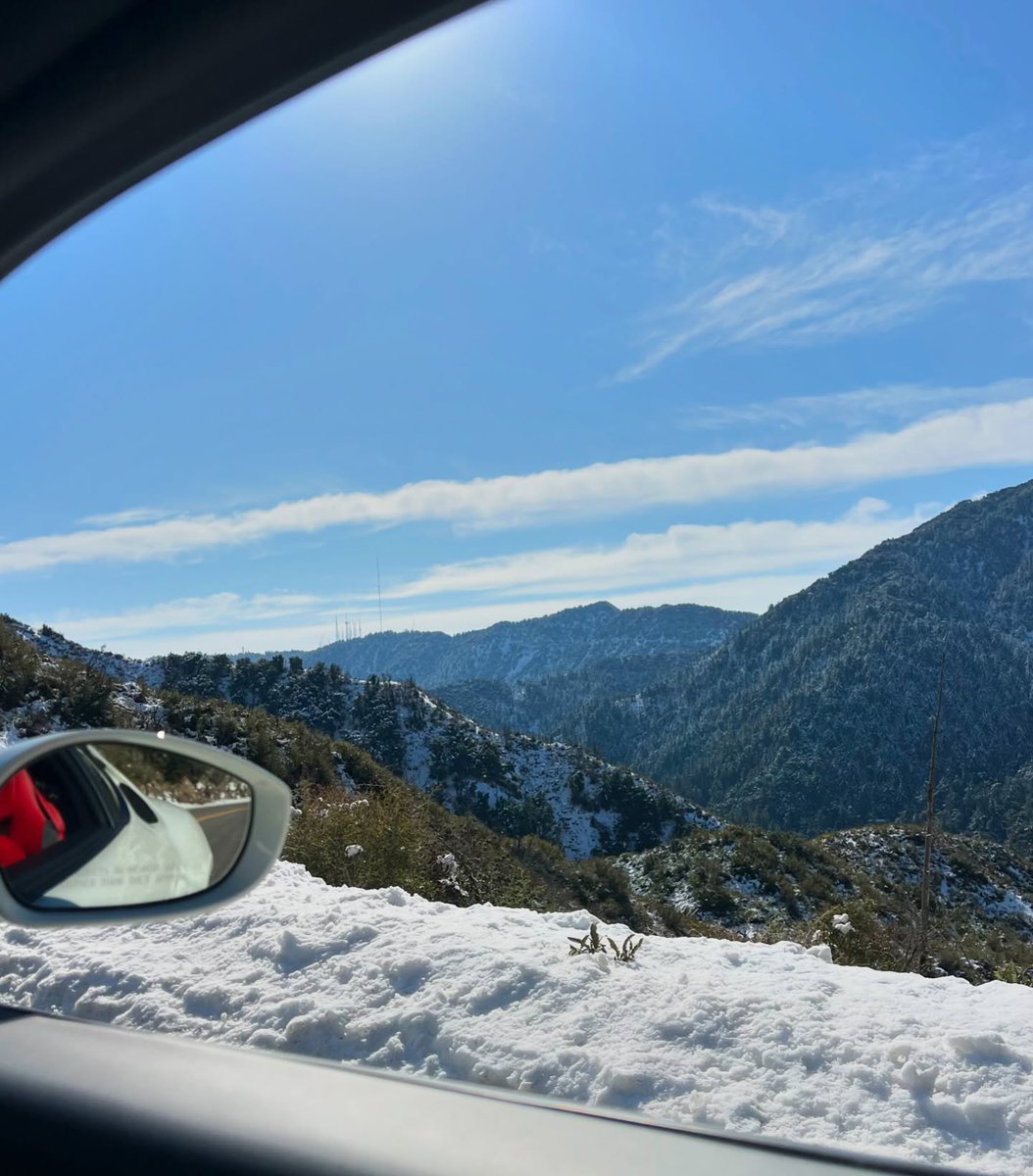 Chloe 🇺🇸 tweet media