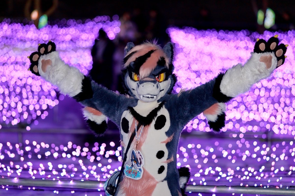 特大ぬこ ⇆ 凍呀 NEXT ？？？ tweet media