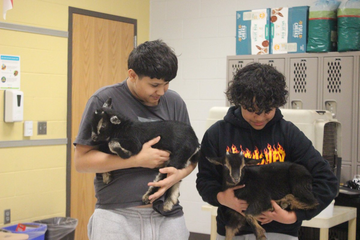 Martin GT Magnet MS tweet media