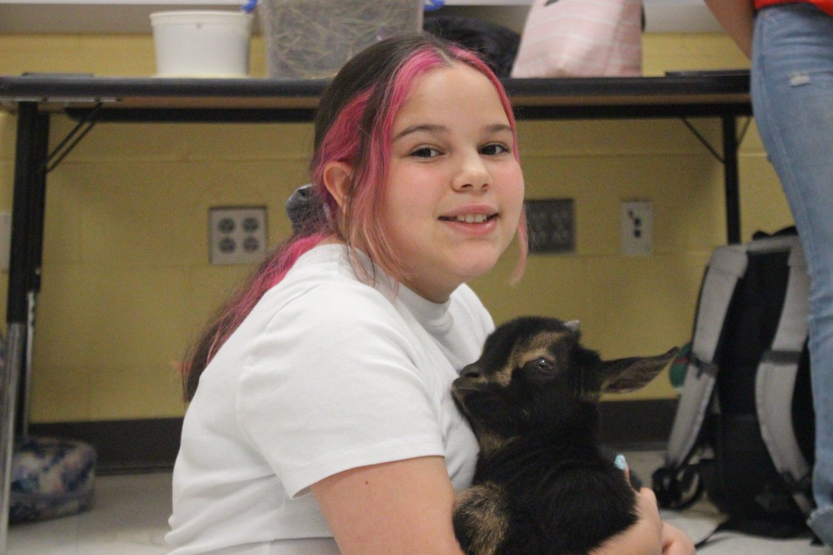 Martin GT Magnet MS tweet media