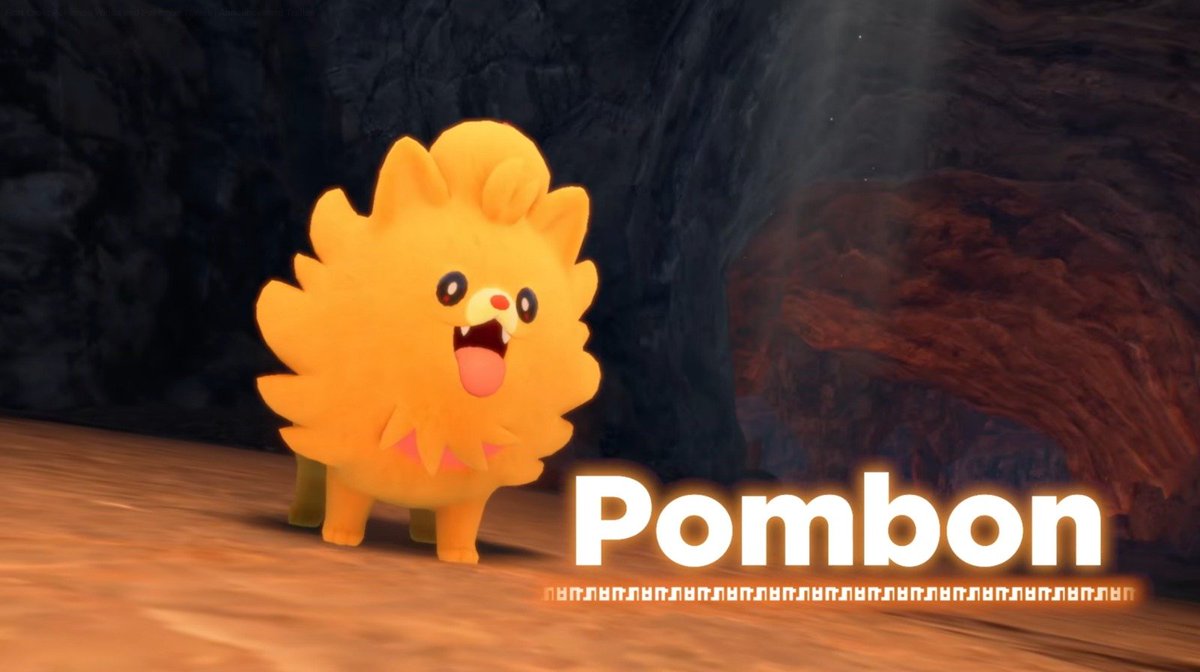 Kaan Şen tweet media