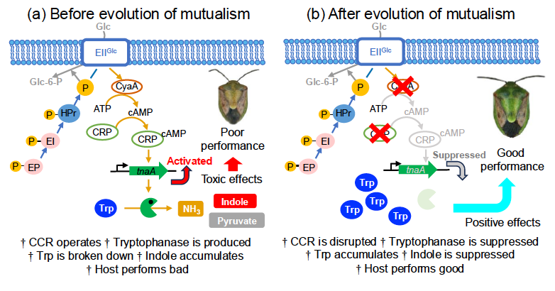 Takema Fukatsu tweet media
