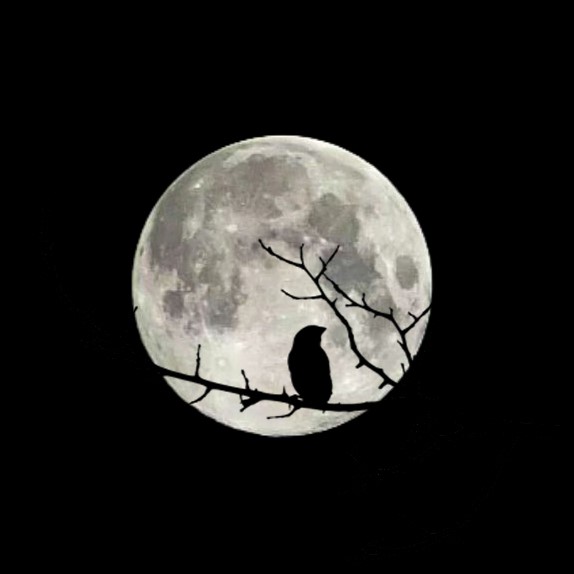 MiPix | NFT Artist 🔺💧 tweet media