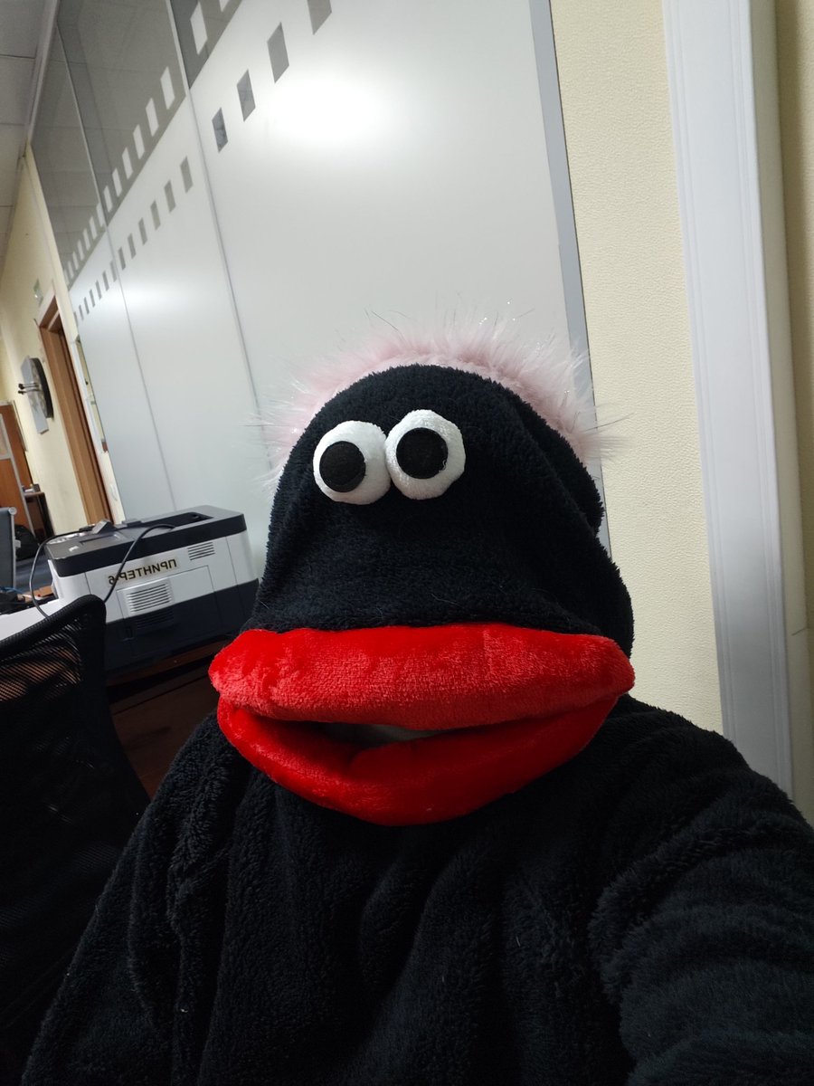 хромой енот tweet media