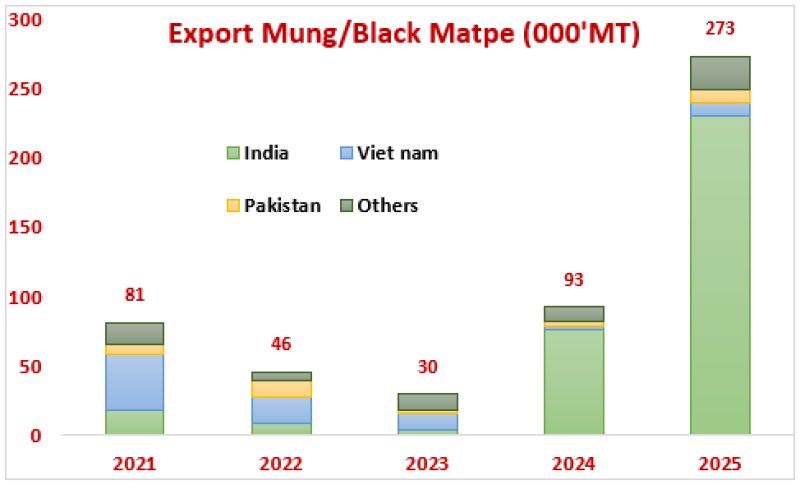 grain_on_X's tweet photo. 🇧🇷Brazil’s exports of #blackmatpe #urad #mung have grown significantly. In 2025 #Brazil exported 273 KMT of black matpe. This represents a sharp increase compared to 93 KMT SPLY.

#India emerged as 🥇#importer with 230 KMT of Brazil’s black #matpe exports. #Vietnam ranked 🥈 with 10 KMT, followed by #Pakistan 🥉 with 9 KMT
https://t.co/AZRtuWgJ2U