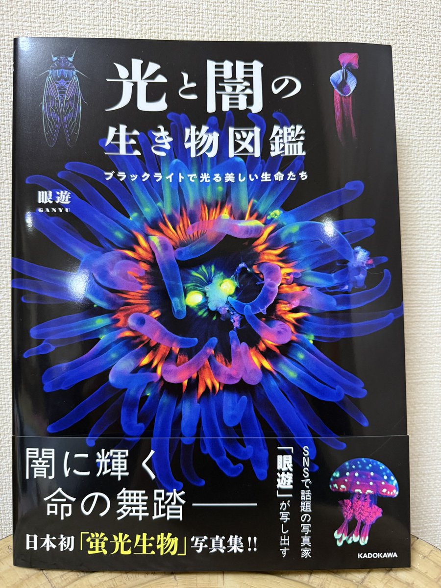 眼遊さんのサイン本が届きました！#光と闇の生き物図鑑 素晴らしい本を