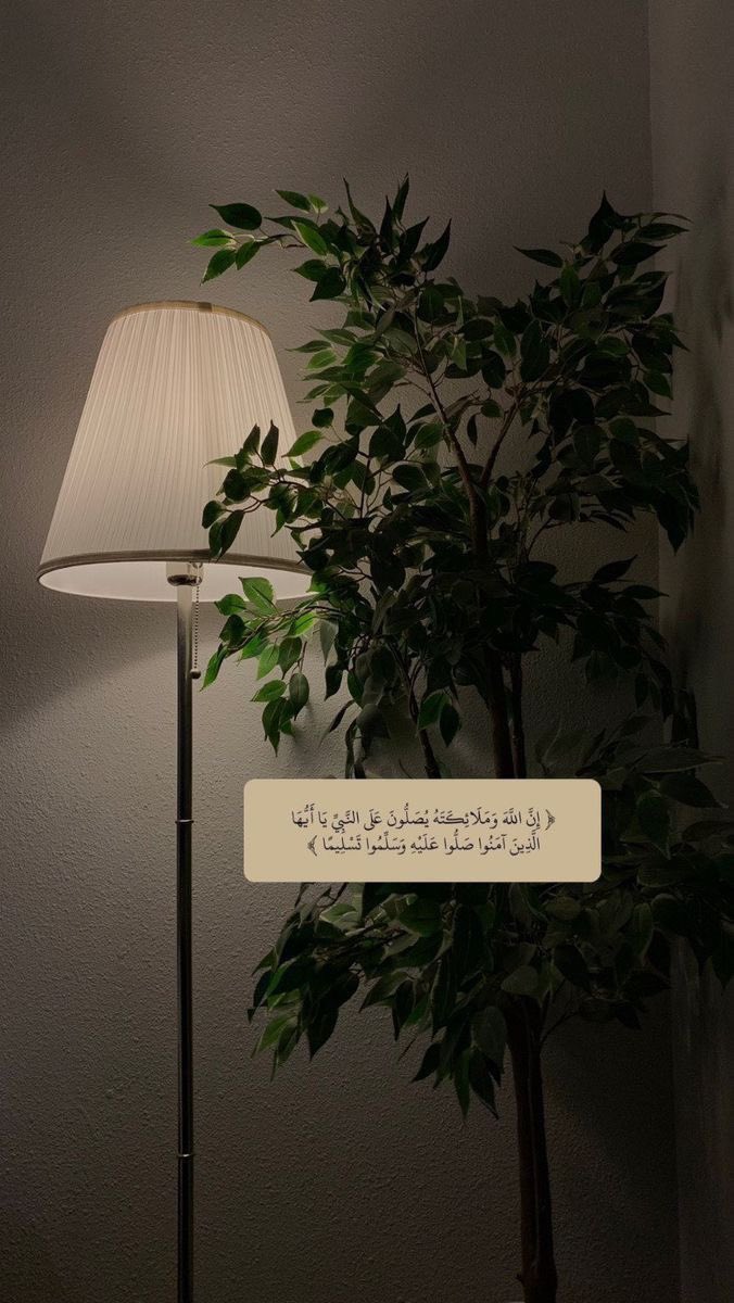 qlren0's tweet photo. https://t.co/KG1Qd9ZWJQ