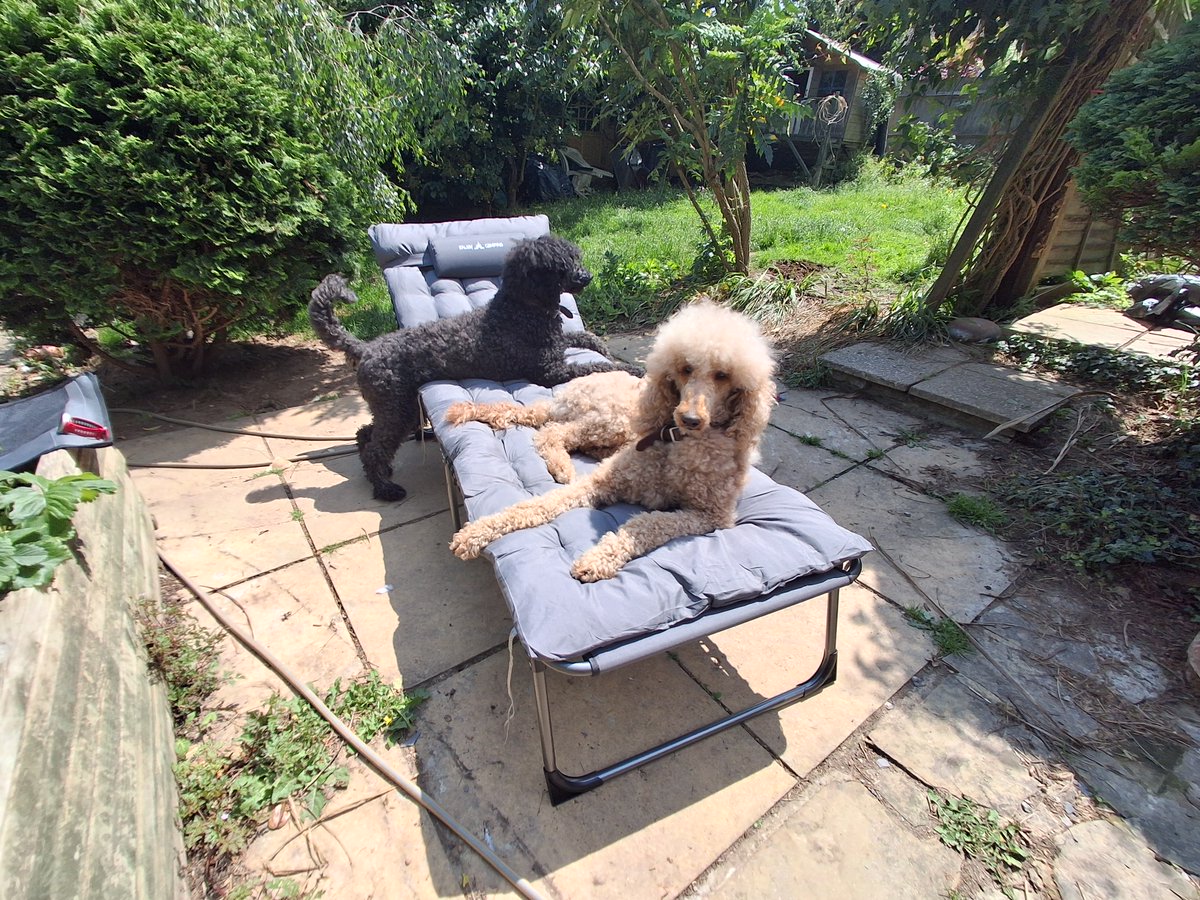 Ed van der Walt tweet media