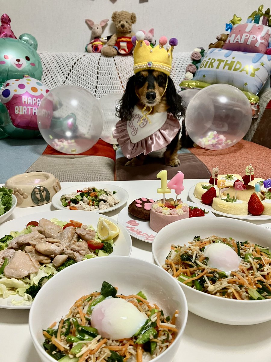 かりんとフェル tweet media