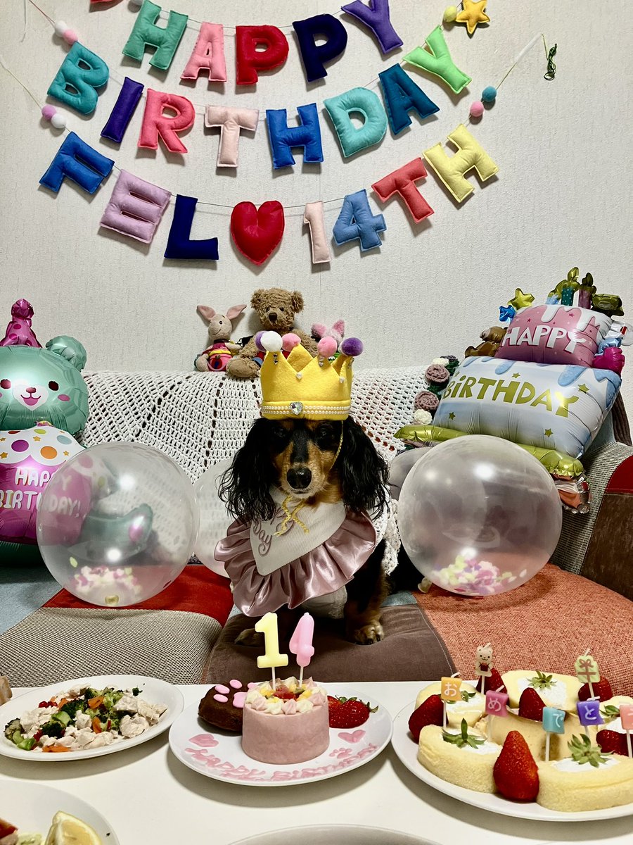 かりんとフェル tweet media