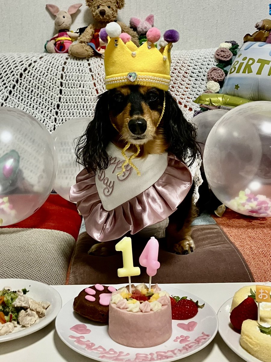 かりんとフェル tweet media