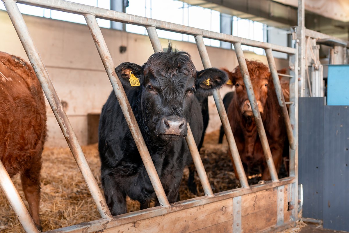 SEFARI Gateway tweet media