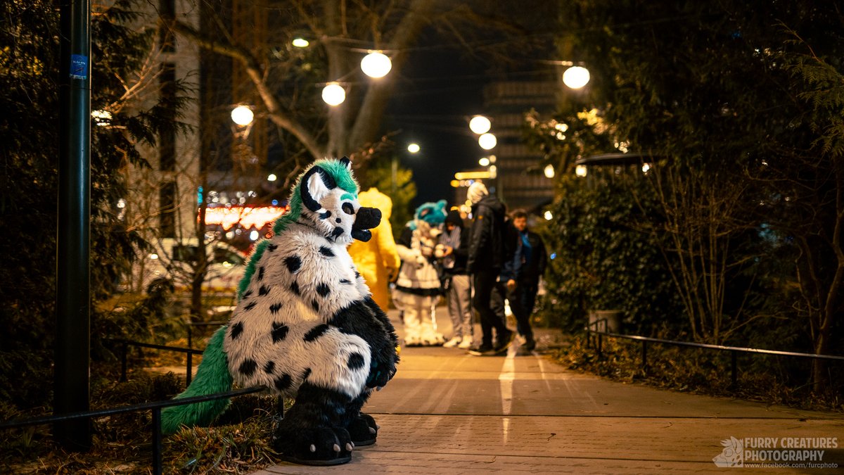 🏳️🌈 VREC Gator - UnPix|Slazy|.exe 🇸🇪 🐾 NFC26 tweet media