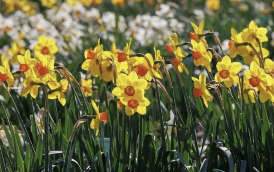 St Martin in the Cornmarket tweet media