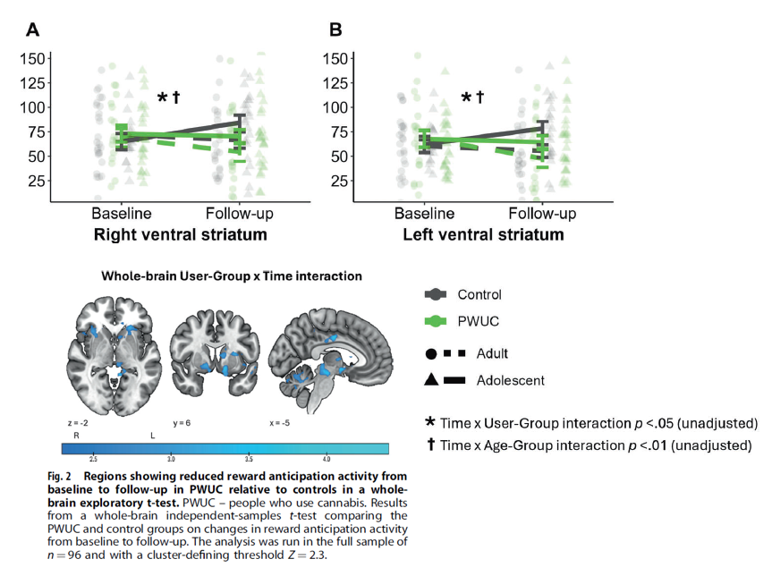 Will Lawn tweet media
