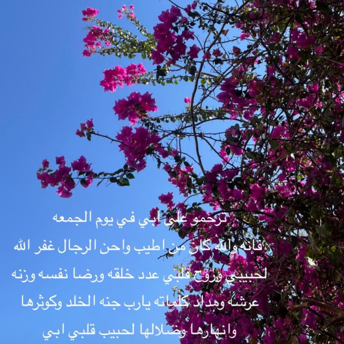 qrrel13's tweet photo. https://t.co/JshztM7xfp
