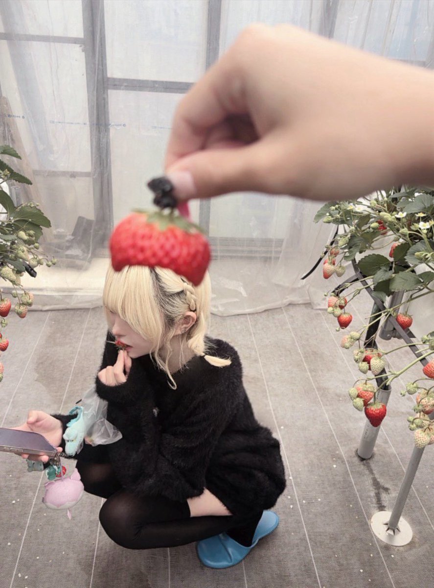 眠 tweet media