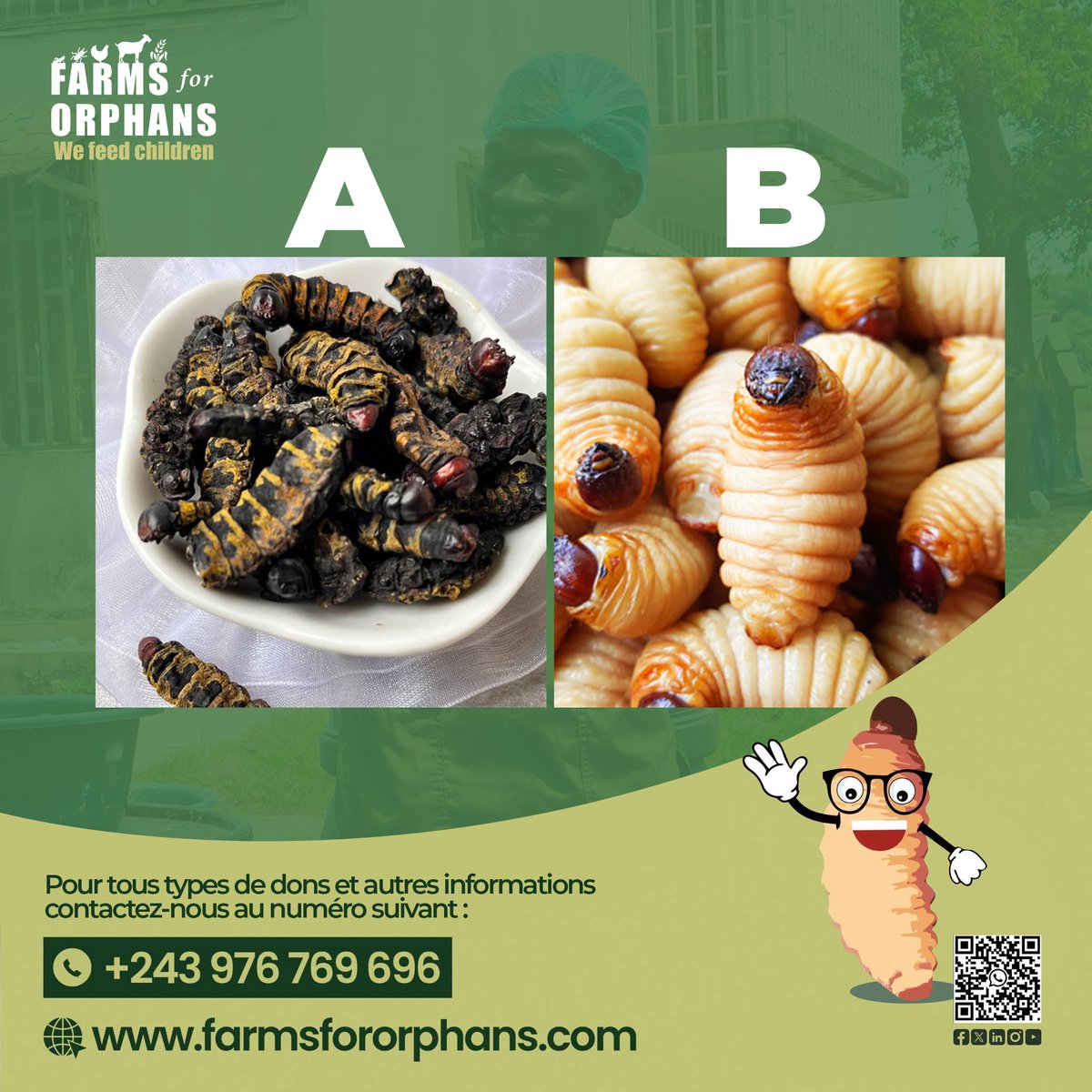 Farms for Orphans (Mpose ya Congo) tweet media