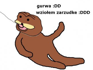 Mateusz Kupilas tweet media