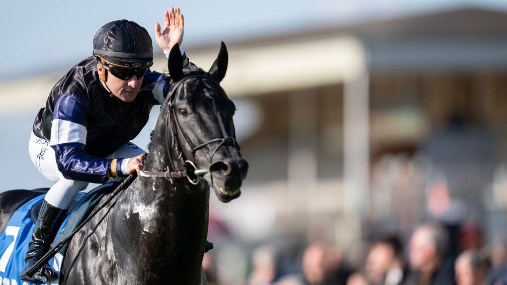 Racing Post Bloodstock tweet media