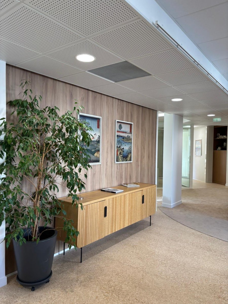 Rodolphe Steffan tweet media