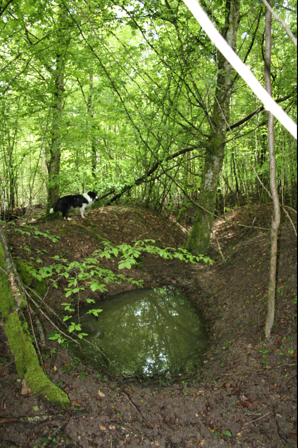 Discovering the frontline and beyond. tweet media