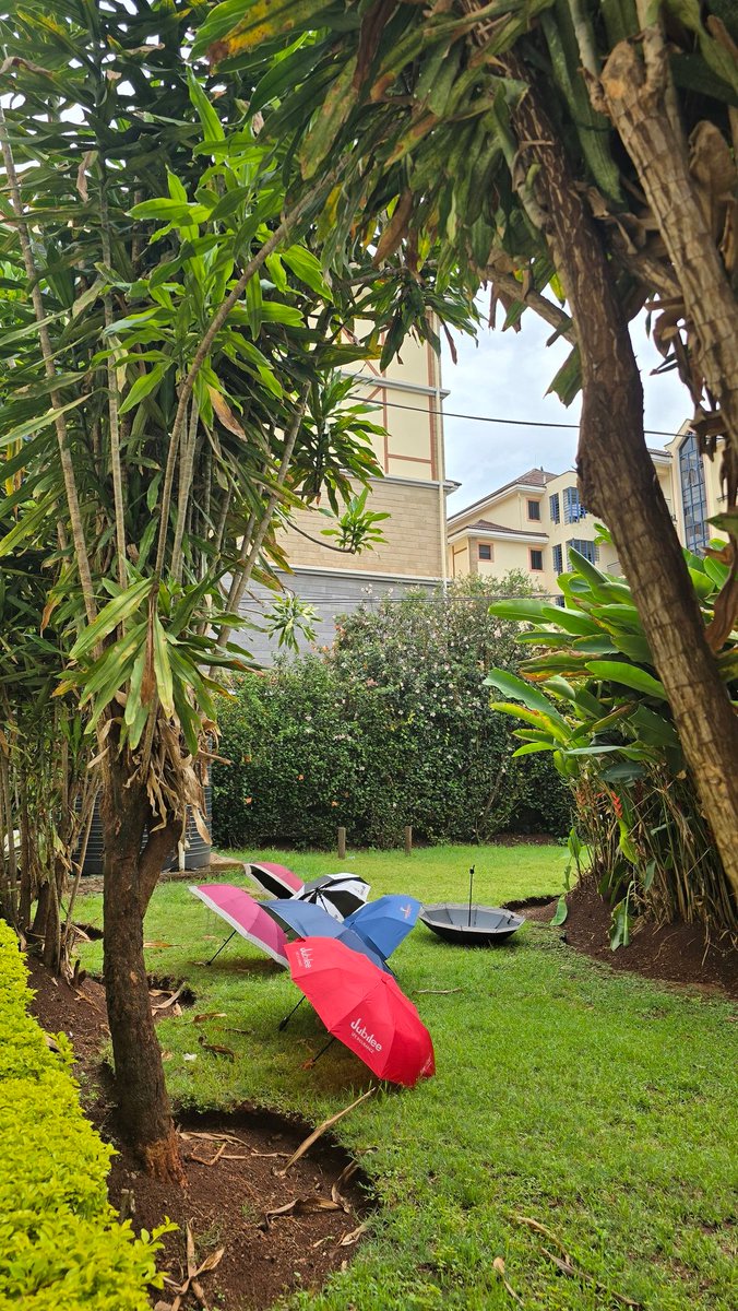 You can't park like dat 🤣