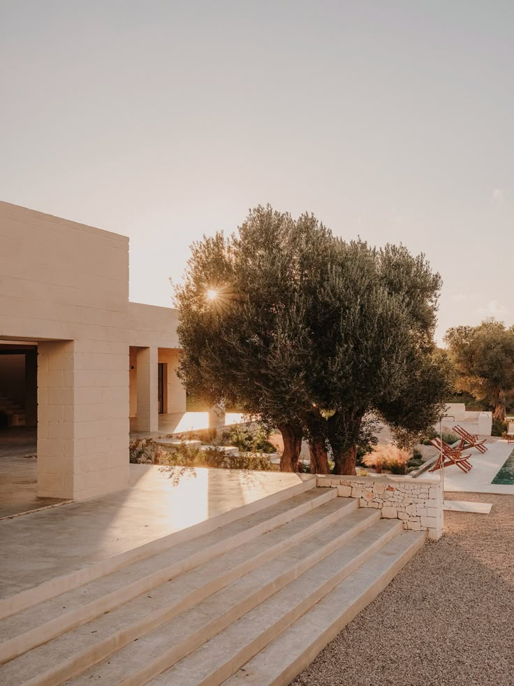 اکوان دیو tweet media