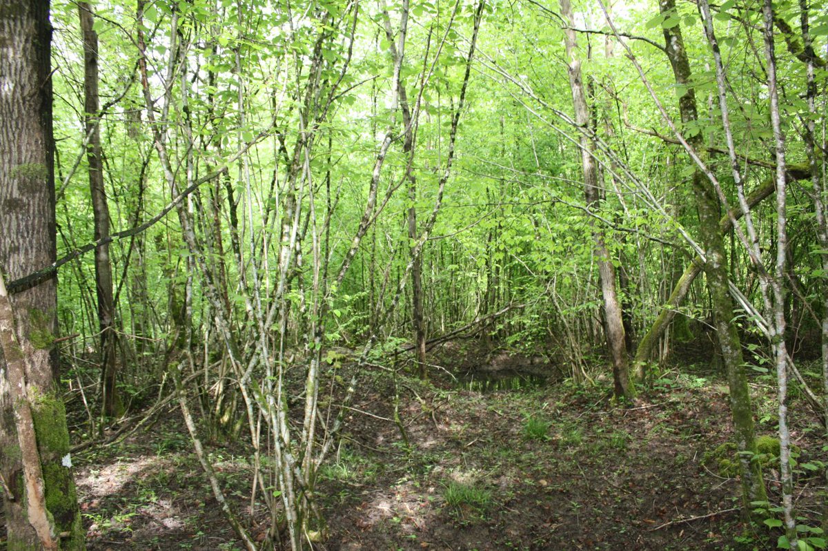 Discovering the frontline and beyond. tweet media